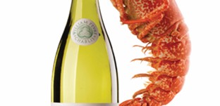 Chablis & lobster