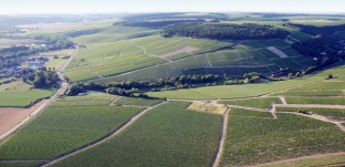 Chablis Grands Crus panoramic shot