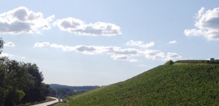 Bouguerots hillside