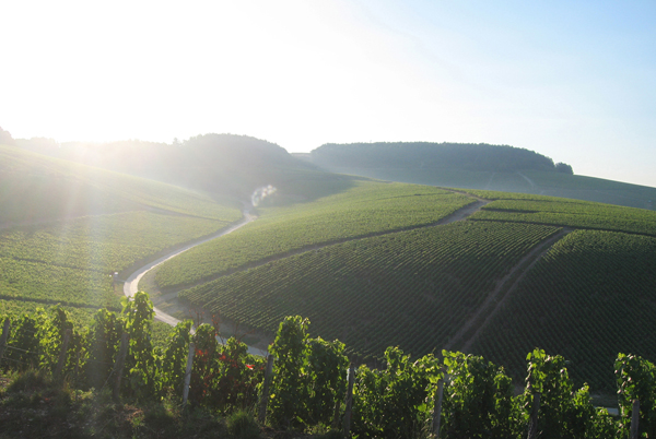 Offrez-vous un week-end d’exception à Chablis !