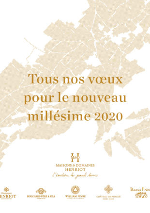 Bonne Année 2020 !